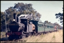 T06770.jpg