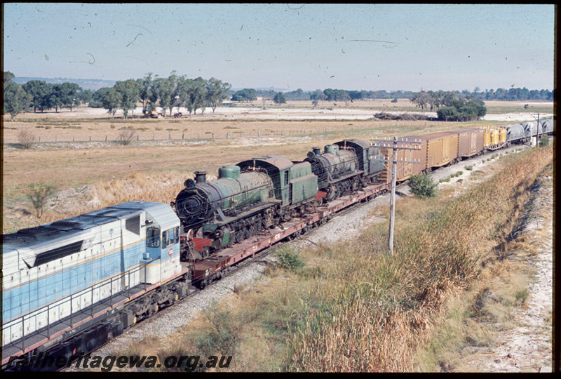 T06827
L Class 258 with W Class 933 and W Class 934 steam locomotives loaded on Commonwealth Railways QB Class 2407 and QB Class 2406 12-wheel flat wagons bound for Port Augusta, WVX Class vans, WFX Class flat wagon, WN Class nickel wagons, photo taken from Kalamunda Road overpass, High Wycombe
