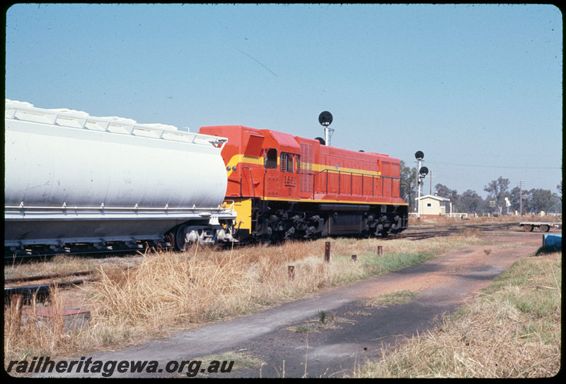 T06924
D Class 1561, International Orange livery, Down lime/alumina train, Pinjarra, XFL Class bulk lime wagon, searchlight signals, relay cabin, SWR line
