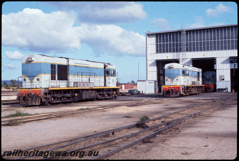T06972
K Class 207, K Class 203, unidentified KA Class in shed, Forrestfield Loco Depot, workshop building, dual gauge gauntlet track
