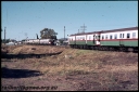 T06895.jpg
