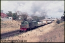 T06965.jpg
