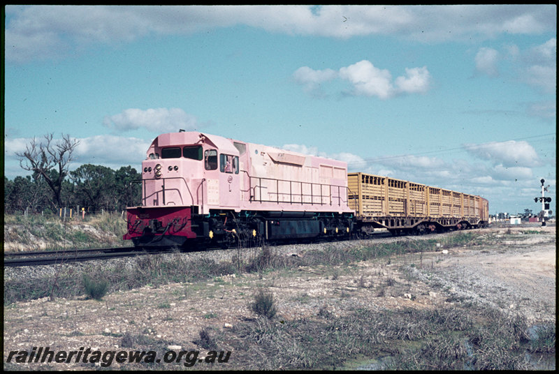 T07035
L Class 256, pink undercoat, Down goods train departing Forrestfield, three WFX Class flat wagons with cattle containers, WBC Class brakevan, Wittenoom Road level crossing
