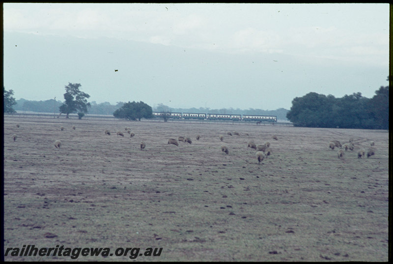 T07136
ADG/AYE/ADG/ADG Class railcar set, Down suburban passenger service, between Armadale and Byford, SWR line
