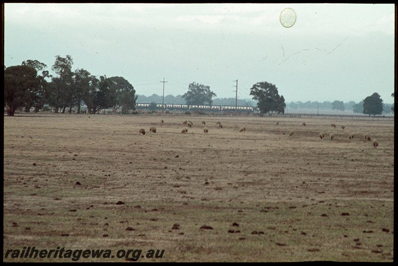 T07137
ADG/AYE/ADG/ADG Class railcar set, Down suburban passenger service, between Armadale and Byford, SWR line
