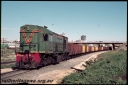 Filename=T07002.jpg
Filesize=160KiB
Dimensions=800x535
Date added=May 03, 2023 T07002.jpg