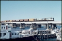T07088.jpg