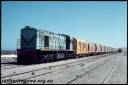 T07093.jpg
