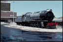 Filename=T07191.jpg
Filesize=153KiB
Dimensions=800x535
Date added=May 03, 2023 T07191.jpg