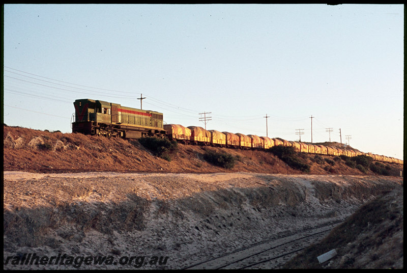 T07222
D Class 1562, Down goods train, between Leighton and Victoria Street, headshunt for Leighton Yard standard gauge sidings in foreground, narrow gauge freight line from Leighton Yard to Cottesloe in middle ground, ER line
