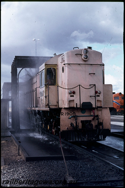T07238
R Class 1905, pink undercoat, carriage washing plant, little david point lever, Forrestfield, XA Class 1408 