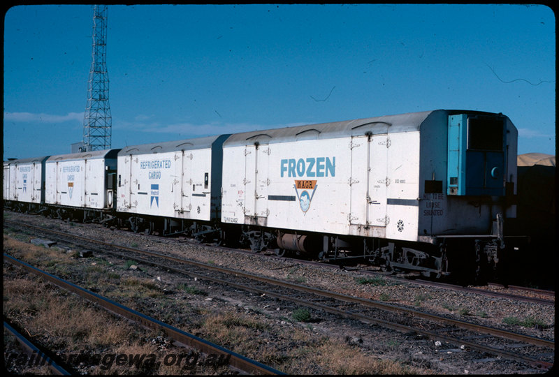 T07256
WAR Class 23452, WAR Class 23470 with other WAR Class cold storage vans, polar bear logo, 