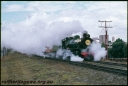 T07354.jpg