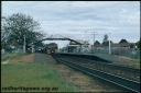 Filename=T07411.jpg
Filesize=161KiB
Dimensions=800x537
Date added=May 03, 2023 T07411.jpg