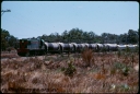 T07479.jpg