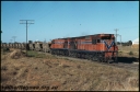 T07561.jpg