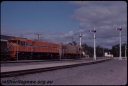 T07603.jpg