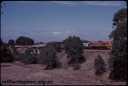 Filename=T07613.jpg
Filesize=214KiB
Dimensions=800x539
Date added=Apr 29, 2024 T07613.jpg
