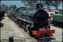 T07683.jpg