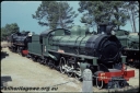 T07684.jpg