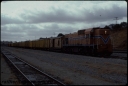 T07685.jpg