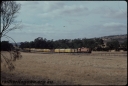 T07686.jpg