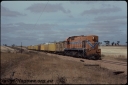 T07689.jpg