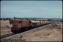 T07690.jpg