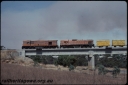 T07695.jpg