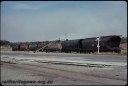 T07697.jpg