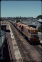 T07700.jpg
