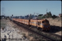 T07703.jpg
