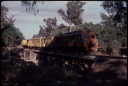 T07709.jpg