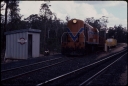 T07710.jpg