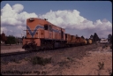 T07711.jpg