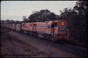 T07714.jpg