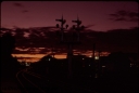 T07724.jpg