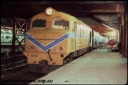 T07725.jpg