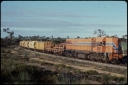 T07727.jpg