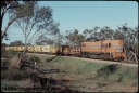 T07728.jpg