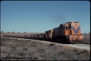 T07733.jpg