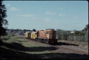 T07735.jpg