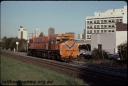 T07736.jpg