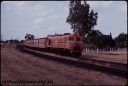 T07841.jpg