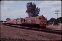 T07842.jpg