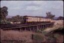 T07843.jpg