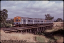 T07848.jpg