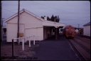 T07849.jpg