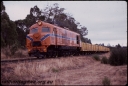 T07850.jpg