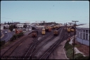 T07852.jpg